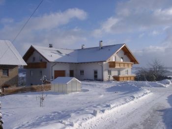 12300005kl.jpg (15328 Byte)