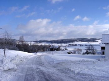 12300006kl.jpg (15425 Byte)