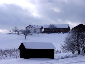 12300010kl.jpg (13930 Byte)