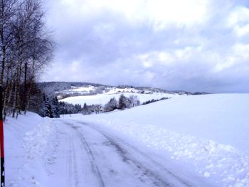 12300011kl.jpg (15393 Byte)