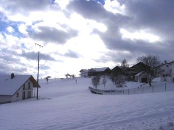 12300012kl.jpg (14013 Byte)