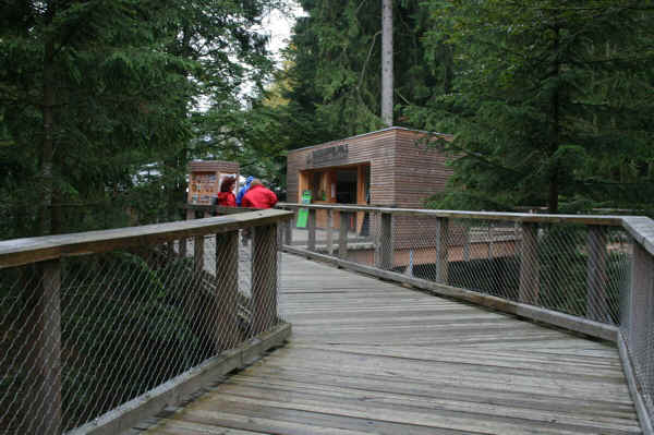 IMG_1209.jpg (143945 Byte)