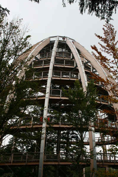 IMG_1214.jpg (161316 Byte)