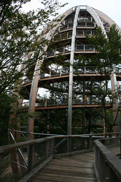 IMG_1215.jpg (166269 Byte)