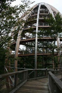 IMG_1215_kl.jpg (43002 Byte)