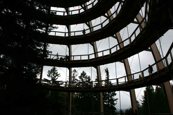 IMG_1216.jpg (113229 Byte)