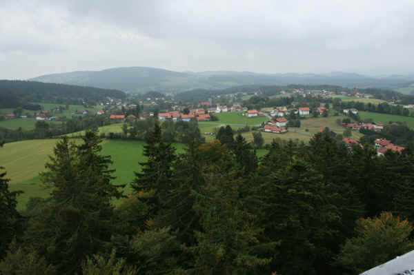 IMG_1218.jpg (95977 Byte)