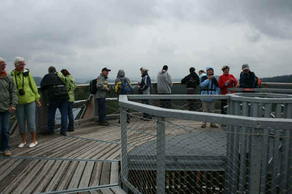 IMG_1221.jpg (104158 Byte)