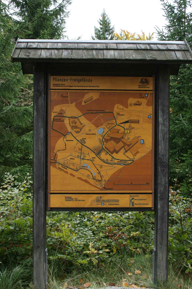 IMG_1228.jpg (338147 Byte)