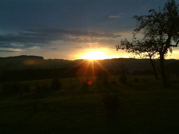 DSCF0013.jpg (28013 Byte)