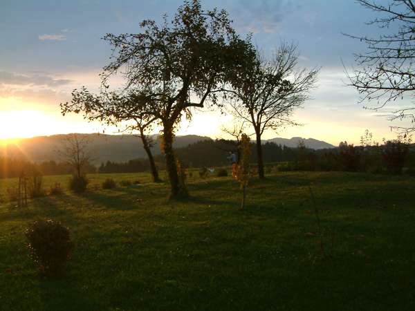 DSCF0014.jpg (34357 Byte)