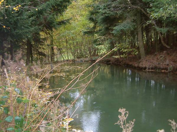 DSCF0033a.jpg (54426 Byte)