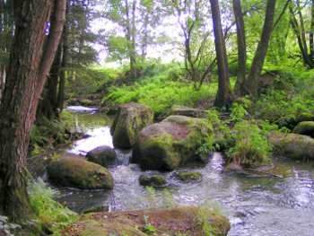 Hoellbachtal.JPG (19392 Byte)