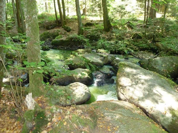 P1000726.jpg (153007 Byte)