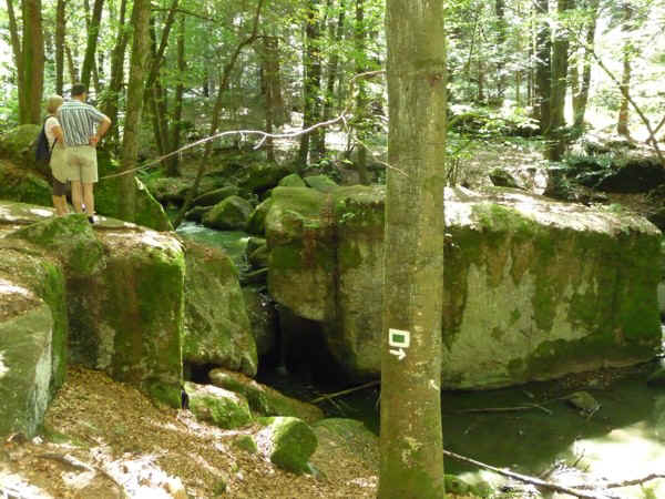 P1000733.jpg (145179 Byte)