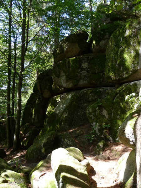 P1000747.jpg (150902 Byte)