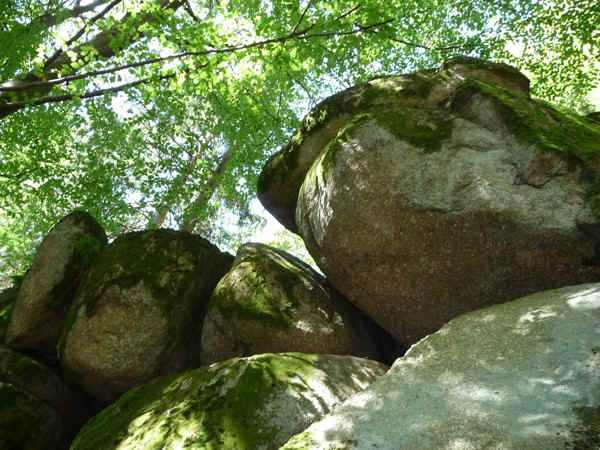 P1000749.jpg (153312 Byte)