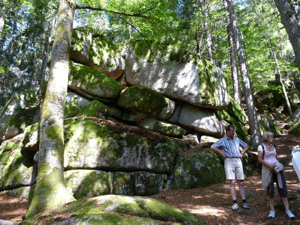 P1000751.jpg (172195 Byte)