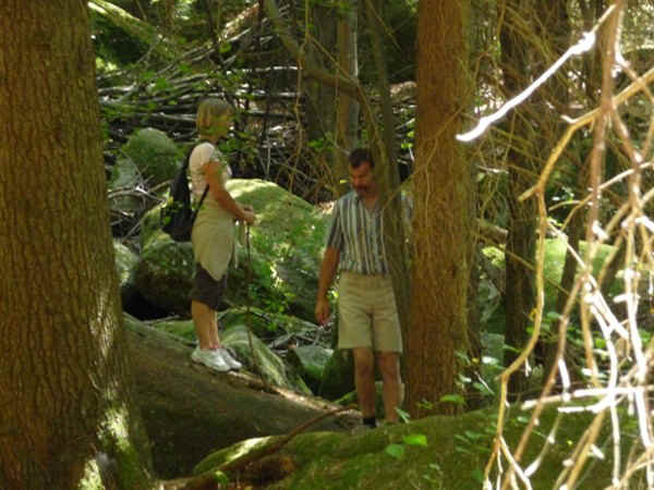 P1000755.jpg (120390 Byte)