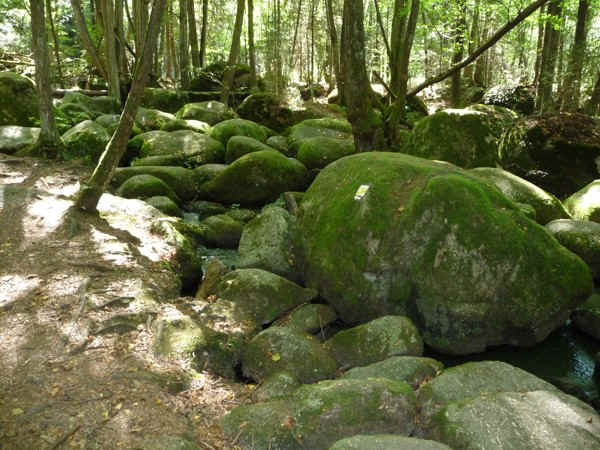 P1000759.jpg (146948 Byte)