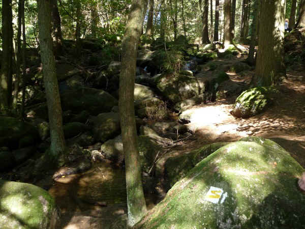 P1000760.jpg (137111 Byte)