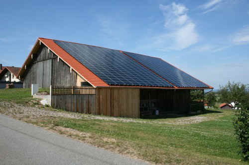 IMG_1137.jpg (61086 Byte)