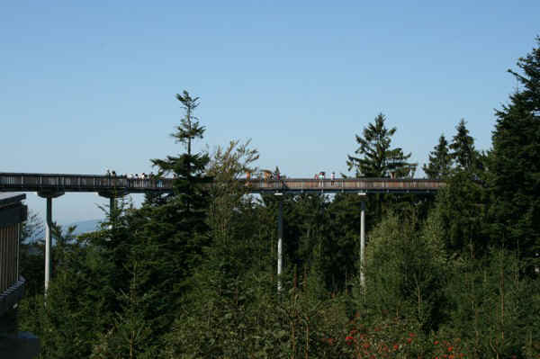 IMG_1083.jpg (78258 Byte)