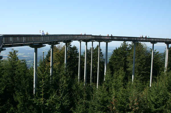 IMG_1085.jpg (88496 Byte)