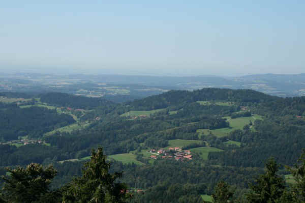 IMG_1091.jpg (59686 Byte)