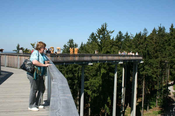 IMG_1094.jpg (83684 Byte)