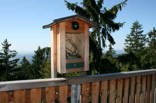 IMG_1101.jpg (88327 Byte)