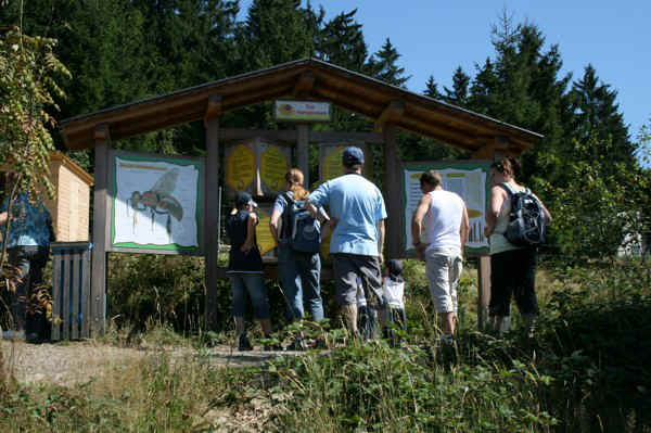 IMG_1115.jpg (117094 Byte)