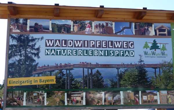 P1000774.jpg (81121 Byte)