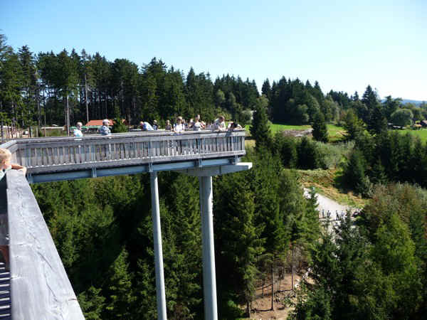 P1000788.jpg (130806 Byte)