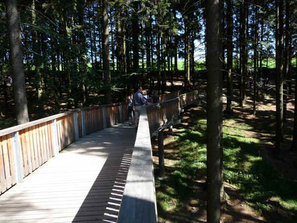 P1000817.jpg (143898 Byte)