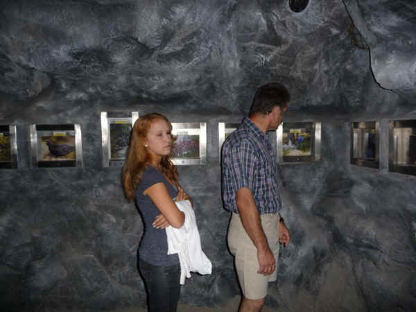 P1000827.jpg (101684 Byte)