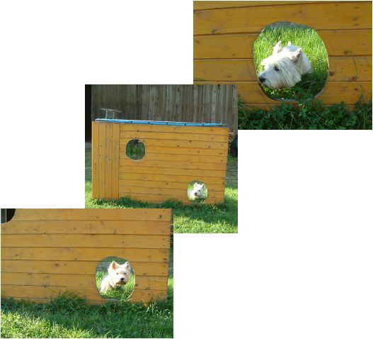 torwand.jpg (33363 Byte)